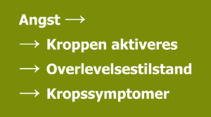 Din angst forløber i en bestemt process.