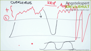 autonome nervesystem og angst behandling