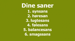 Angst symptomer og dine sanser.